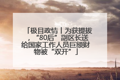 极目政情丨为获提拔，“80后”副区长送给国家工作人员巨额财物被“双开”