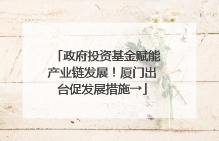 政府投资基金赋能产业链发展！厦门出台促发展措施→