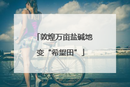 敦煌万亩盐碱地变“希望田”