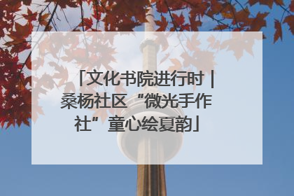 文化书院进行时｜桑杨社区“微光手作社”童心绘夏韵