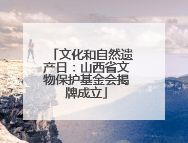 文化和自然遗产日：山西省文物保护基金会揭牌成立