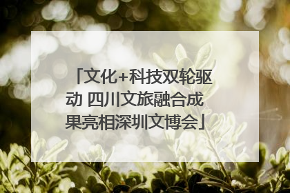 文化+科技双轮驱动 四川文旅融合成果亮相深圳文博会