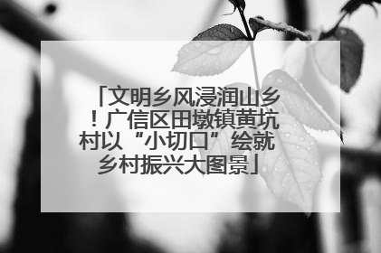文明乡风浸润山乡！广信区田墩镇黄坑村以“小切口”绘就乡村振兴大图景