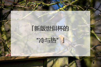 新版世俱杯的“冷与热”
