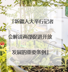 新疆人大举行记者会解读两部促进开放发展的重要条例