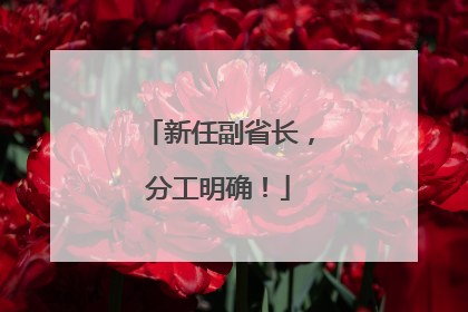 新任副省长，分工明确！