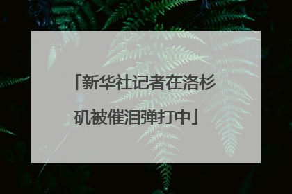 新华社记者在洛杉矶被催泪弹打中