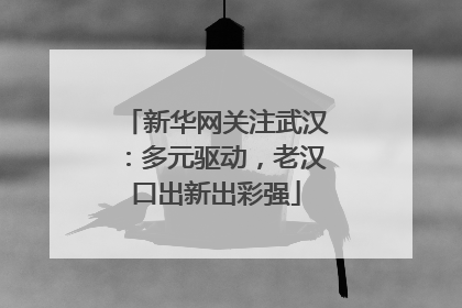 新华网关注武汉：多元驱动，老汉口出新出彩强