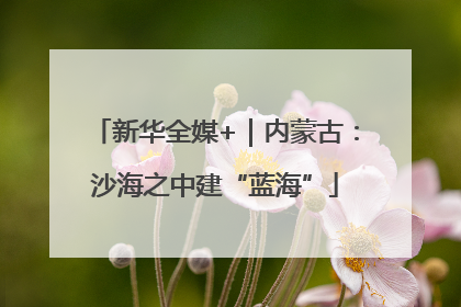 新华全媒+｜内蒙古：沙海之中建“蓝海”
