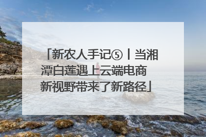 新农人手记⑤丨当湘潭白莲遇上云端电商 新视野带来了新路径