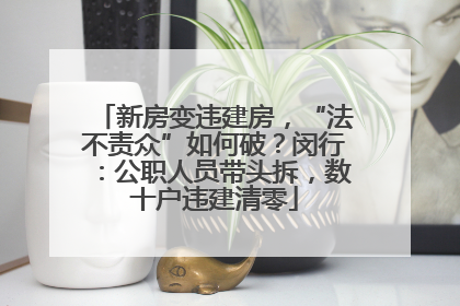 新房变违建房，“法不责众”如何破？闵行：公职人员带头拆，数十户违建清零