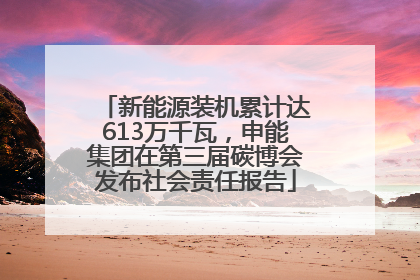新能源装机累计达613万千瓦，申能集团在第三届碳博会发布社会责任报告