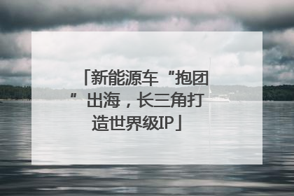 新能源车“抱团”出海，长三角打造世界级IP