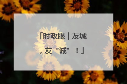 时政眼｜友城，友“诚”！
