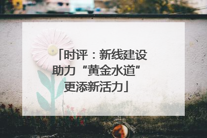 时评：新线建设助力“黄金水道”更添新活力