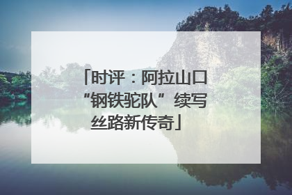 时评：阿拉山口“钢铁驼队”续写丝路新传奇