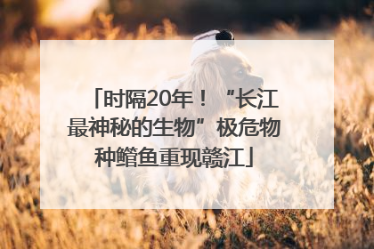 时隔20年！“长江最神秘的生物”极危物种鳤鱼重现赣江