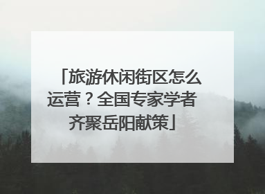 旅游休闲街区怎么运营？全国专家学者齐聚岳阳献策