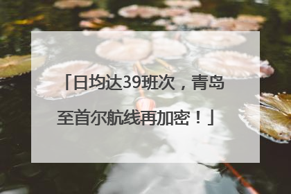 日均达39班次，青岛至首尔航线再加密！