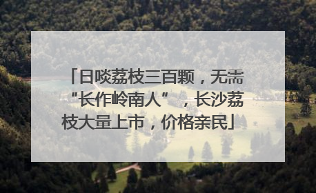 日啖荔枝三百颗，无需“长作岭南人”，长沙荔枝大量上市，价格亲民