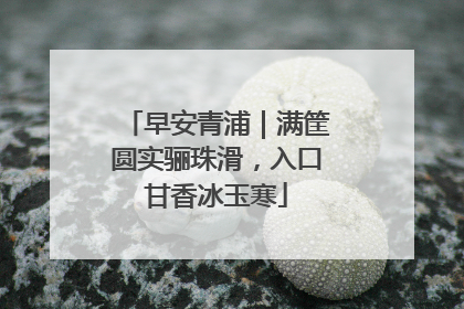 早安青浦｜满筐圆实骊珠滑，入口甘香冰玉寒