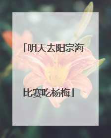 明天去阳宗海比赛吃杨梅