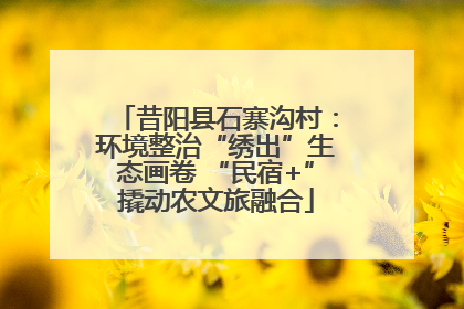昔阳县石寨沟村：环境整治“绣出”生态画卷 “民宿+”撬动农文旅融合