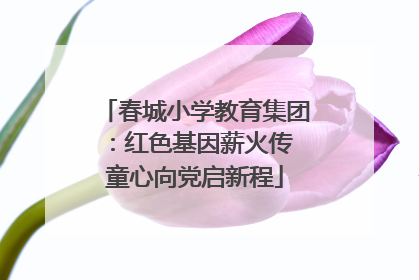 春城小学教育集团：红色基因薪火传 童心向党启新程