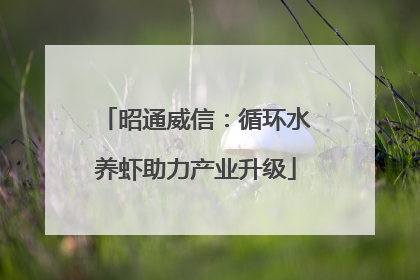 昭通威信：循环水养虾助力产业升级
