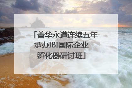 普华永道连续五年承办IBI国际企业孵化器研讨班