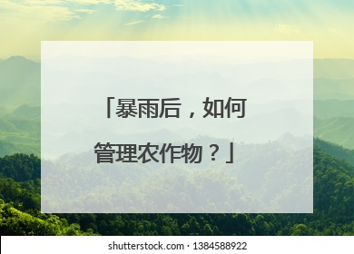 暴雨后，如何管理农作物？