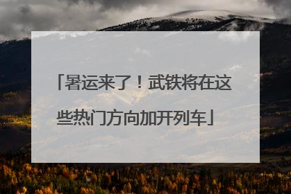 暑运来了！武铁将在这些热门方向加开列车