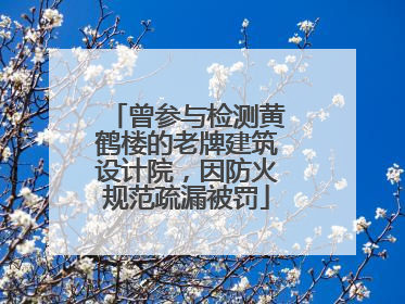 曾参与检测黄鹤楼的老牌建筑设计院，因防火规范疏漏被罚