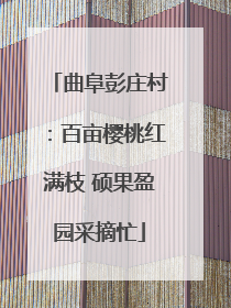 曲阜彭庄村：百亩樱桃红满枝 硕果盈园采摘忙