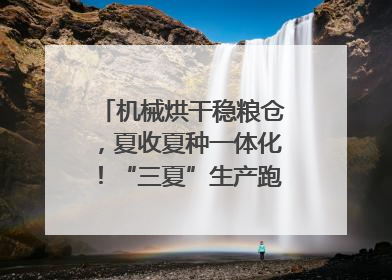 机械烘干稳粮仓，夏收夏种一体化！“三夏”生产跑出加速度｜麦报