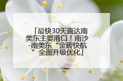 最快30天直达南美东主要港口！南沙-南美东“金砖快航”全面升级优化
