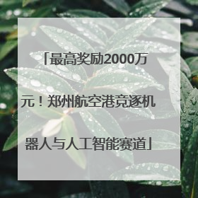 最高奖励2000万元！郑州航空港竞逐机器人与人工智能赛道