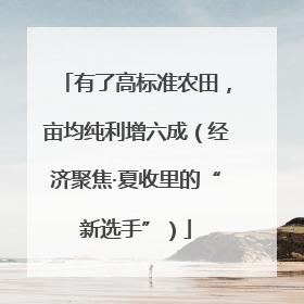 有了高标准农田，亩均纯利增六成（经济聚焦·夏收里的“新选手”）