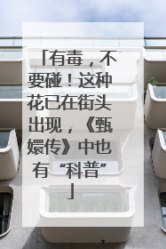 有毒，不要碰！这种花已在街头出现，《甄嬛传》中也有“科普”