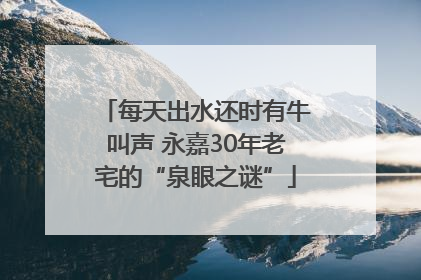 每天出水还时有牛叫声 永嘉30年老宅的“泉眼之谜”