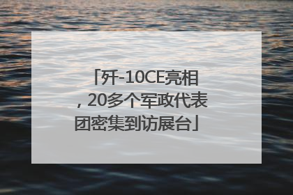 歼-10CE亮相，20多个军政代表团密集到访展台