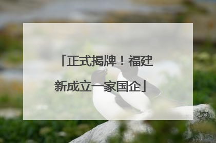 正式揭牌！福建新成立一家国企