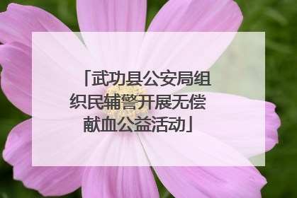 武功县公安局组织民辅警开展无偿献血公益活动