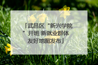 武昌区“新兴学院”开班 新就业群体友好地图发布