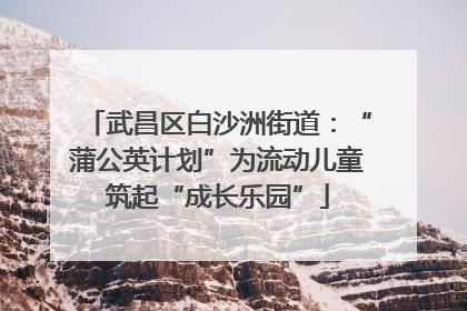 武昌区白沙洲街道：“蒲公英计划”为流动儿童筑起“成长乐园”