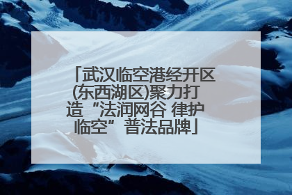 武汉临空港经开区(东西湖区)聚力打造“法润网谷 律护临空”普法品牌