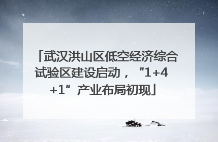 武汉洪山区低空经济综合试验区建设启动，“1+4+1”产业布局初现