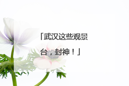 武汉这些观景台，封神！