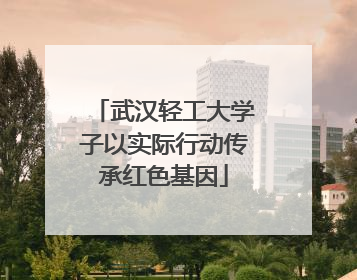 武汉轻工大学子以实际行动传承红色基因
