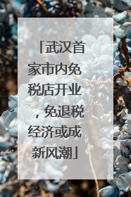 武汉首家市内免税店开业，免退税经济或成新风潮